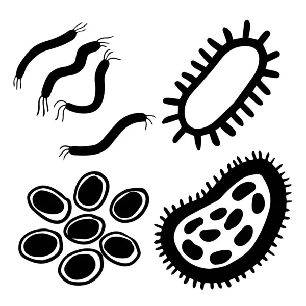 Microorganismos Forma Vibrio Bacilli Coccus — Archivo Imágenes Vectoriales