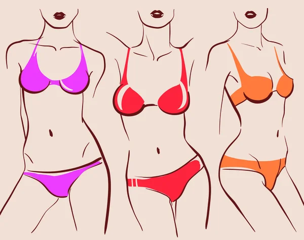 Bellos cuerpos de mujer en bikini — Vector de stock