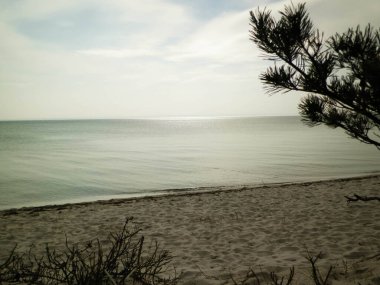 Hel Peninsula 'dan Baltık deniz kıyıları - Hel şehrine yakın plaj. Baltık Denizi ve Gdansk Körfezi 'nin güzel doğası. Seyahat ve doğa kavramı.