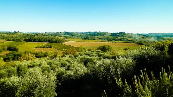 Colinas Campos Prados Vistas Típicas Toscana Italia Viajes Naturaleza Agricultura — Foto de Stock