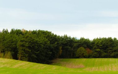 Yeşil tarla ve tepeler. Kuzey Polonya doğası. Seyahat ve doğa kavramı.