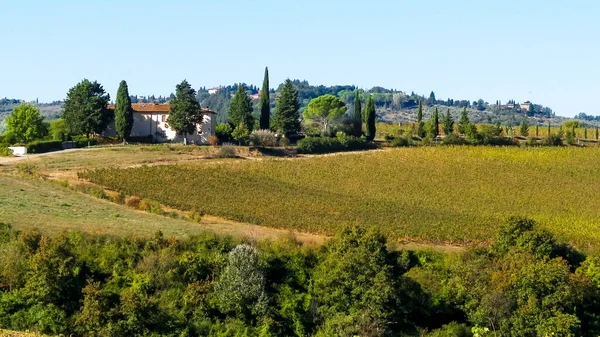 Heuvels Velden Weiden Typisch Uitzicht Toscane Reizen Natuur Landbouw Concept — Stockfoto