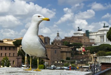 Roma ve sakinleri.