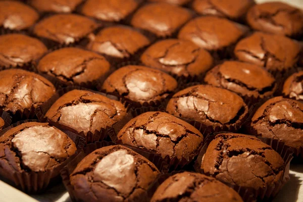 Brownies in forno — Foto Stock