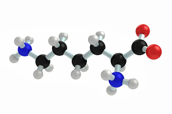 赖氨酸 — 图库照片