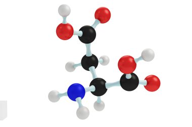 Model of aspartate clipart