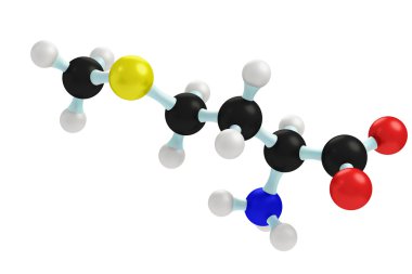 Model of methionine clipart