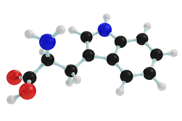 Model of tryptophan — Stock Photo, Image