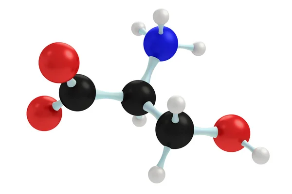 丝氨酸的模型 — 图库照片