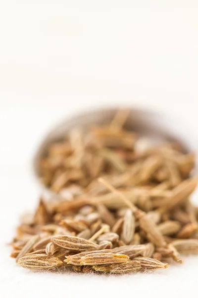 Graines de cumin et cuillère Photos De Stock Libres De Droits