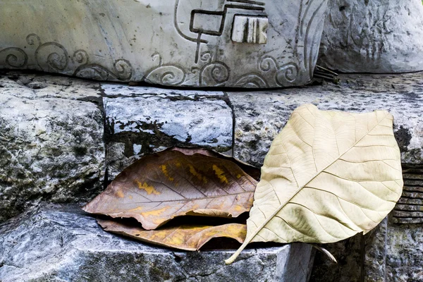 Still life Sculpture and leaves detail — Stock Photo, Image