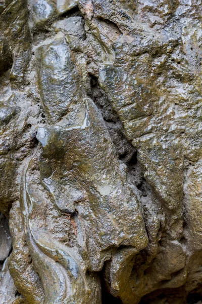 Detalhe de pedra — Fotografia de Stock