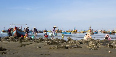 Mui Ne fishermen village in Vietnam: Cleaning the shell clipart