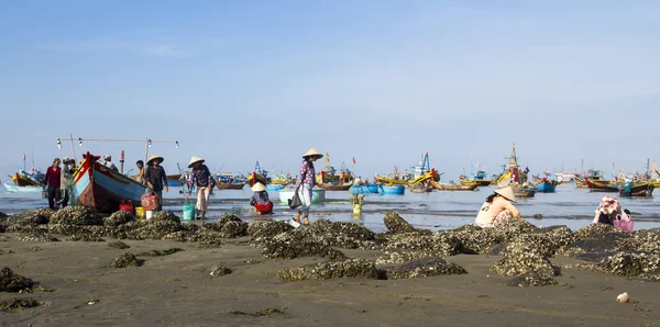 Mui Ne fiskerlandsby i Vietnam: Rengjøring av skallet royaltyfrie gratis stockfoto