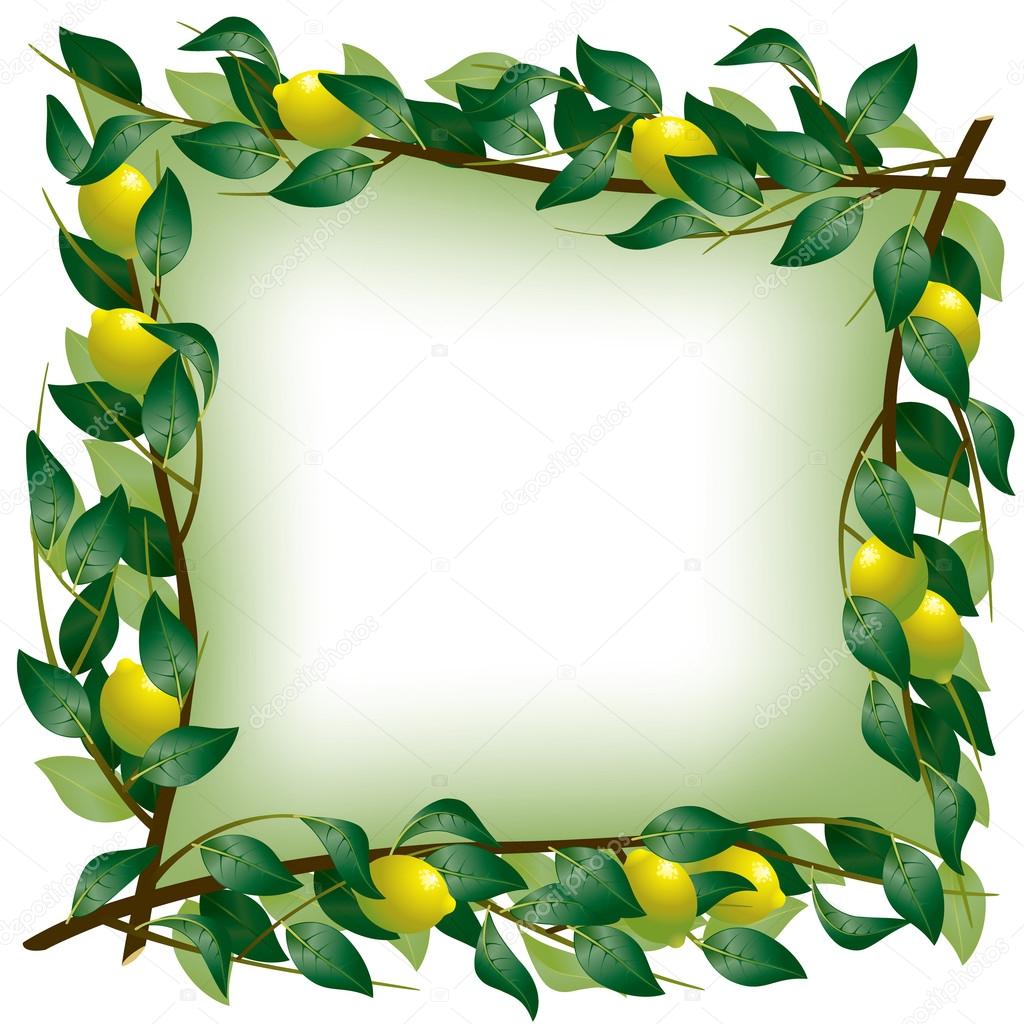 Lemon Branch Frame Stock Vector Maystra 17438975 Lemon Branch Frame Stock Vector
