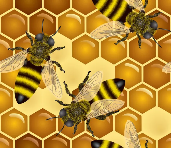 Honig nahtlos mit Bienen — Stockvektor