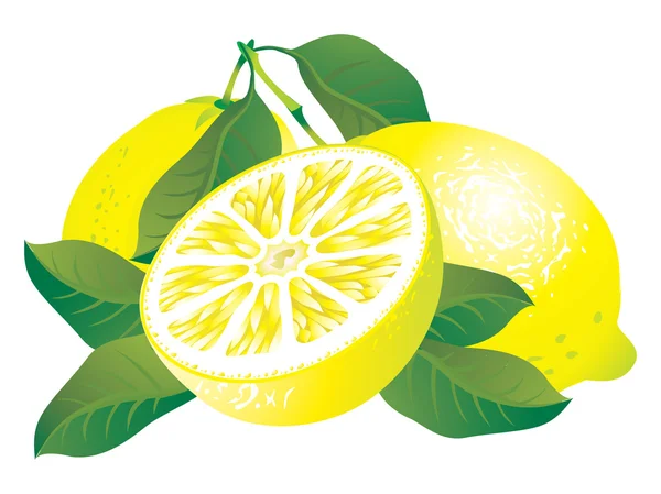 Limoni — Vettoriale Stock