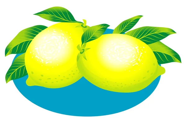 Limones — Archivo Imágenes Vectoriales