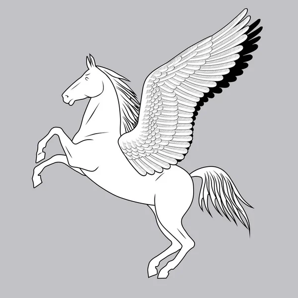 Cavalo Criação Branco Com Asas — Vetor de Stock
