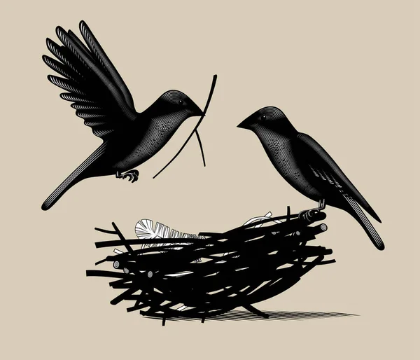 两只鸟和一个用树枝筑成的鸟巢 — 图库矢量图片