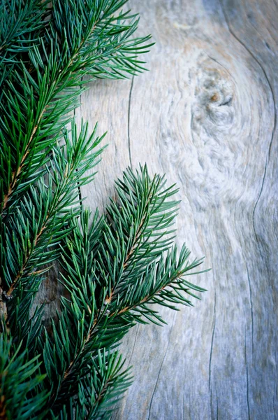 Árvore de Natal — Fotografia de Stock