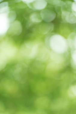 Odaklanmamış ışıklarla yeşil bokeh arkaplanı