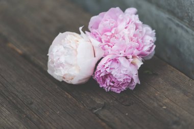 ahşap zemin üzerinde güzel peonies