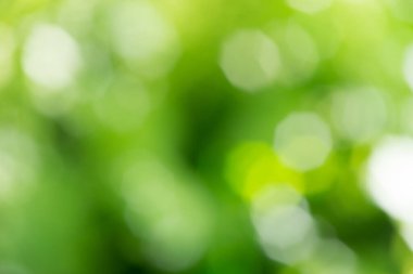 Bokeh ile soyut arkaplan