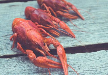 Ahşap zemin üzerinde kerevit