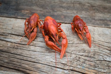 Ahşap bir masada kerevit