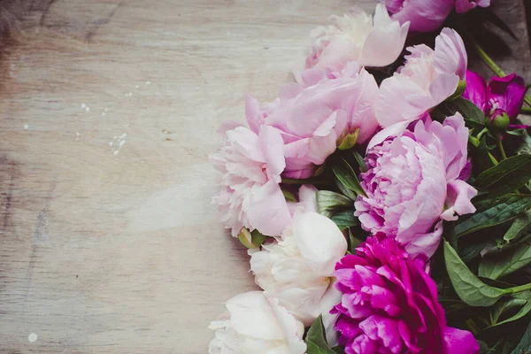 Hermoso Ramo Peonías Rosadas — Foto de Stock