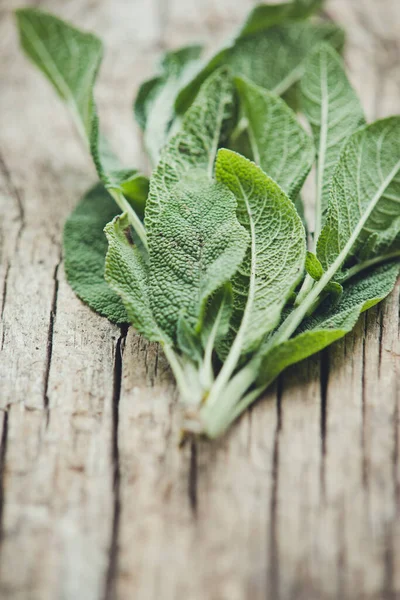 Fresh Green Leaves Wooden Background — Stock Photo, Image