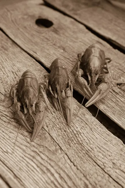 Écrevisses Sur Une Table Bois — Photo