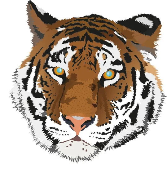 Colored Tiger Face Blue Eyes — Stock Photo, Image