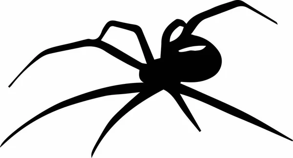 Spider Black Alone White Background — Stock Photo, Image