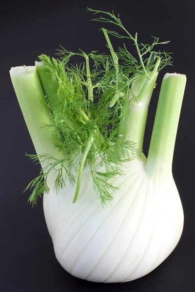 Raw fennel — Stock Photo, Image