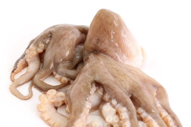 beyaz zemin üzerine ahtapot