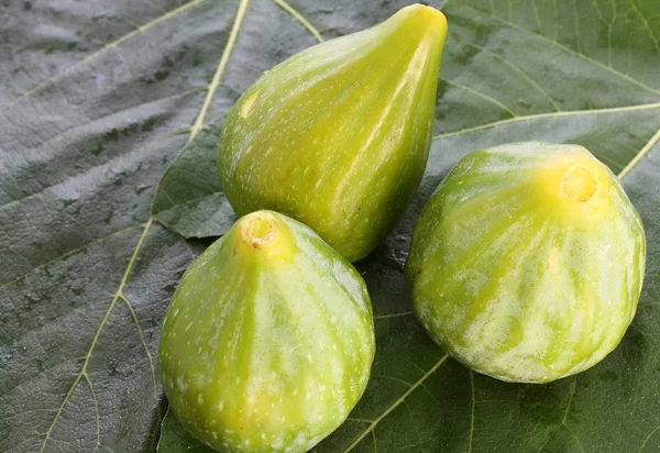 Figos na folha de figo — Fotografia de Stock