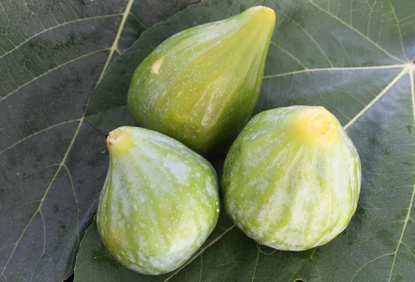 Figs on fig leaf — Stock Photo, Image