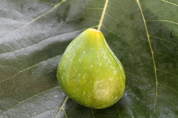 Fig on fig leaf — Stock Photo, Image