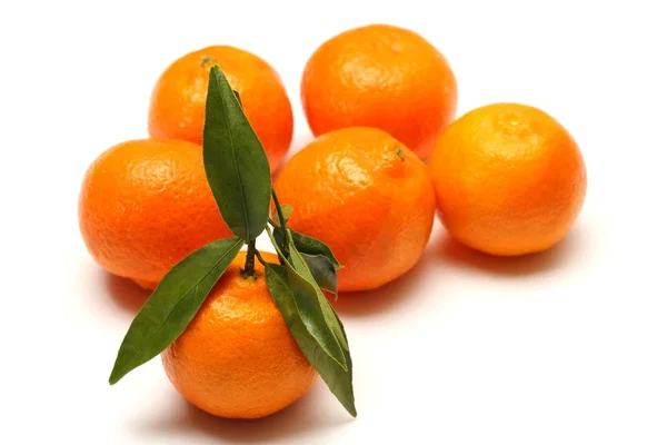 Beyaz arka planda clementines