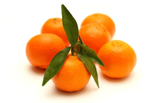 Beyaz arka planda clementines