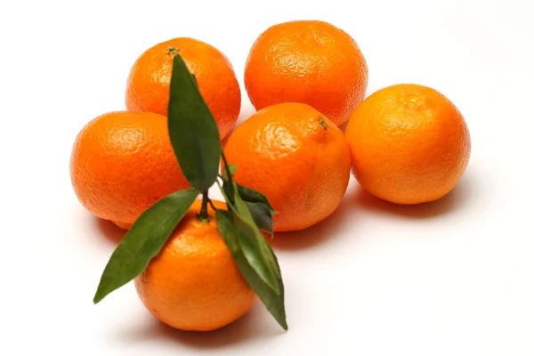 在白色背景上的柑橘 — 图库照片