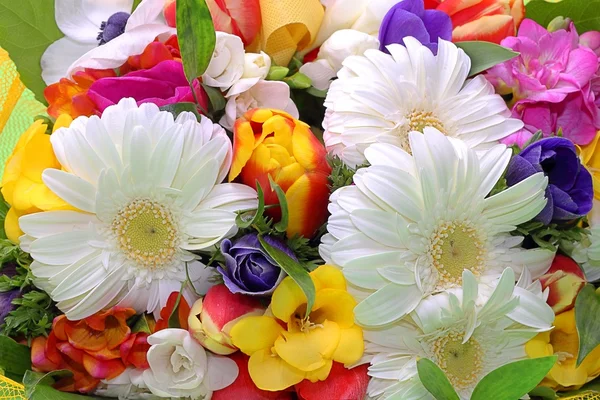 Букет з барвистих квітів Стокове Зображення