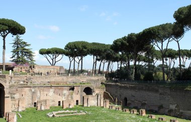 Roma'daki Palatine Tepesi