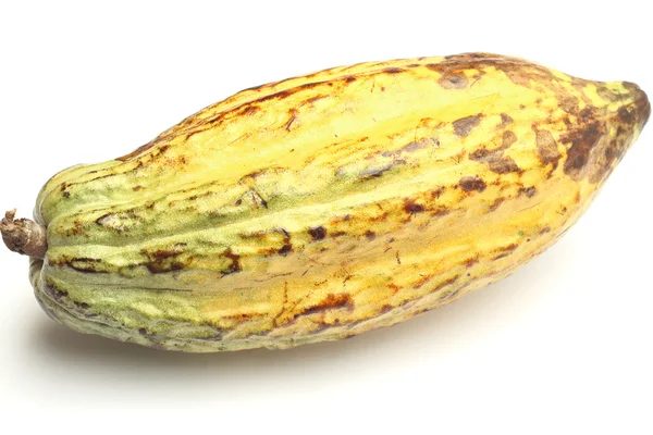 Fruits du cacao — Photo