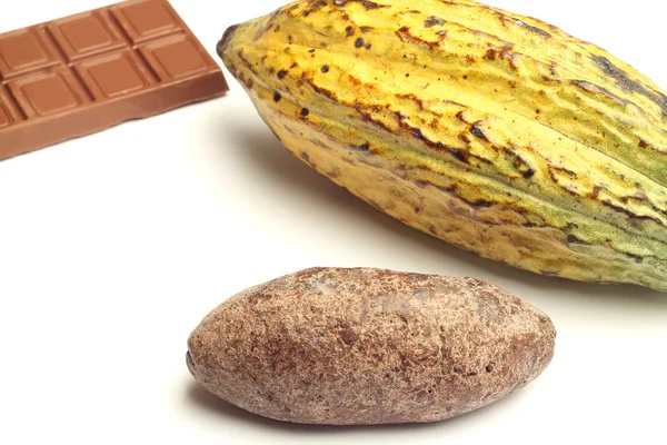 Frutas de cacau, chocolate e pão de cacau — Fotografia de Stock