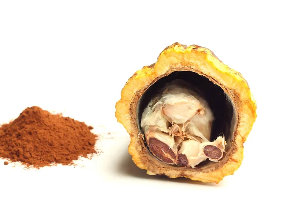 Kakao meyve ve kakao tozu — Stok fotoğraf