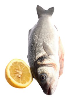 levrek izole limon ile beyaz arka plan üzerinde