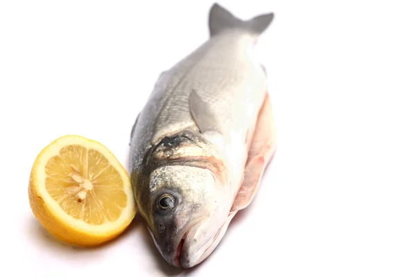 Sea bass isolated on white background with lemon — Stock Photo, Image